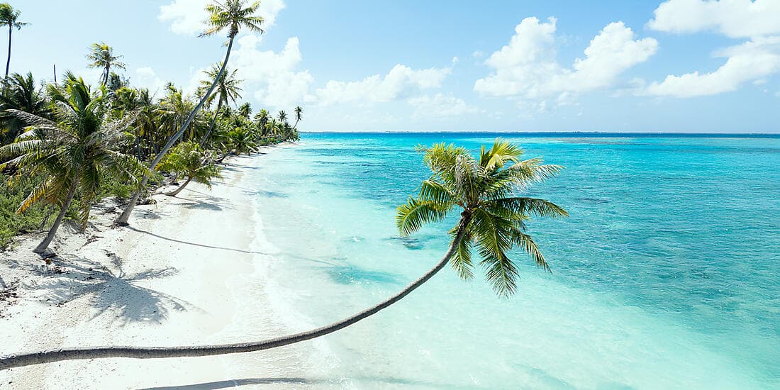 Society Islands & The Tuamotus